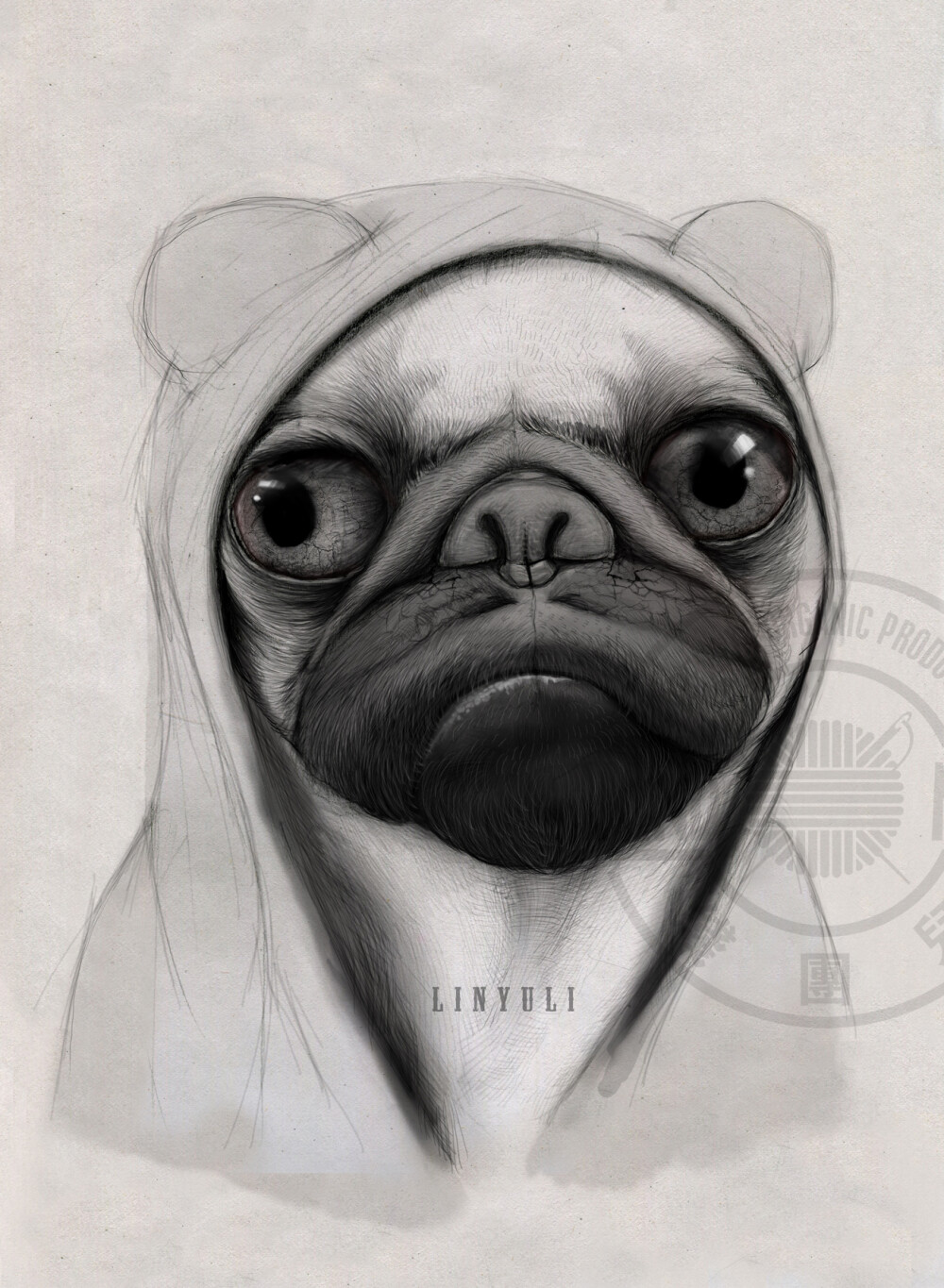 已经商用了的八哥犬