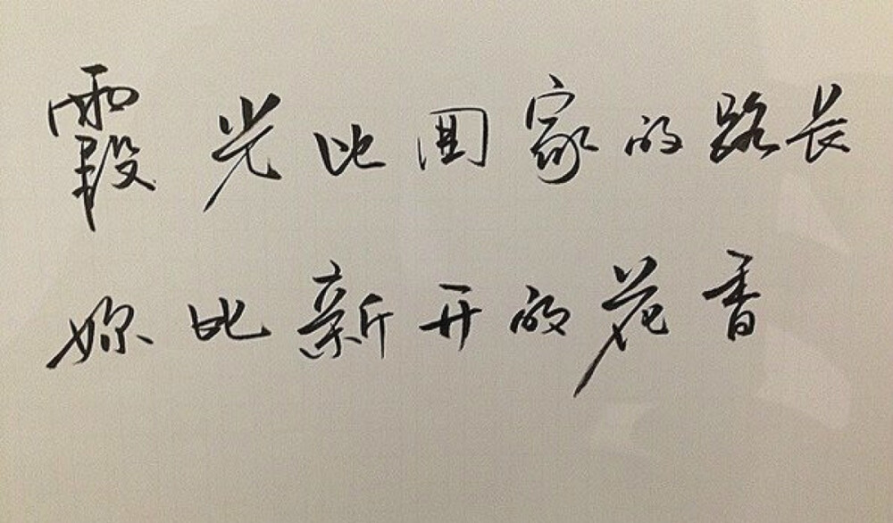 美字 谜