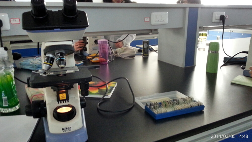 植物生物学实验室的显微镜。