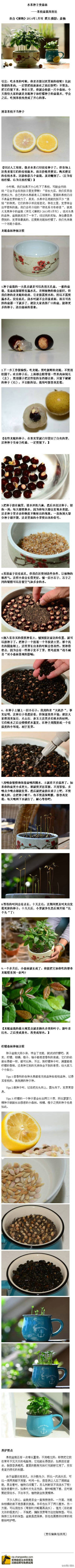 水果种子变森林