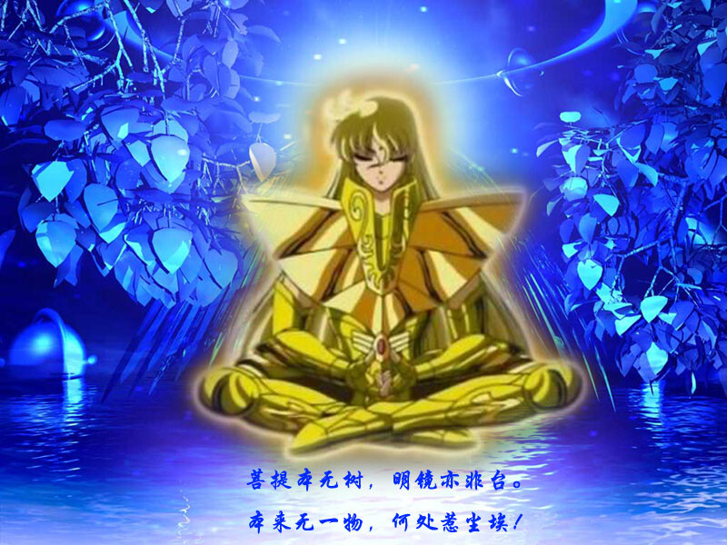 菩提本无树，明镜亦非台。本来无一物，何处惹尘埃。