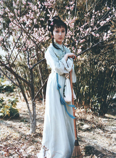 87版电视剧《红楼梦》剧照，黛玉葬花。