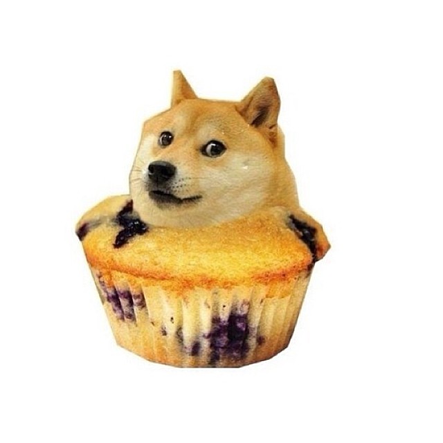 玛芬doge