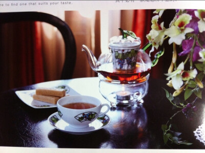 西兰德玻璃茶具-日本有田焼陶器，内胆独特细孔技术