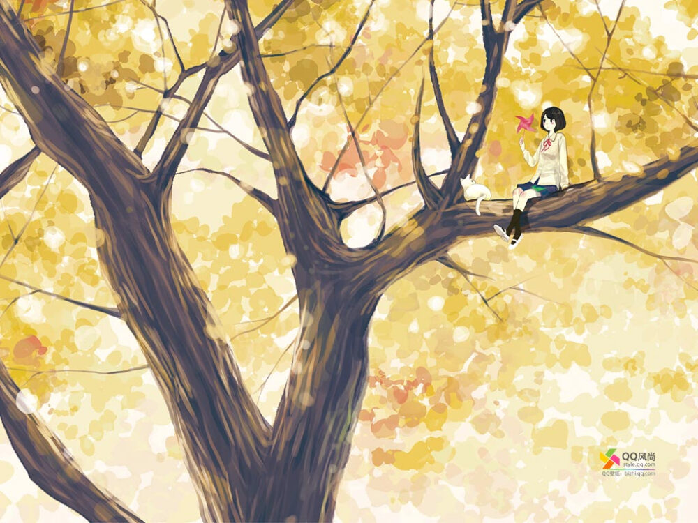 QQ风尚电脑桌面壁纸