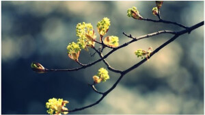 靠近点看，你会发现，地球的每一处都是风景