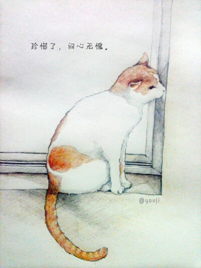 彩铅，猫邻居