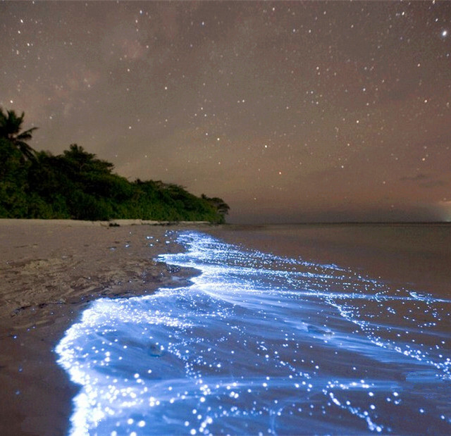  马尔代夫VAADHOO岛，发光的浮游生物被潮水冲到沙滩上，地平线上是星星和船灯。海滩布满发光生物，看起来很像银河，但比银河还亮。 微生物在水中与氧气发生化学反应，发出光亮，这一自然景象在海岸线地带甚为罕见。但在大洋中，船只会使海水中含氧量增加，因此微生物发光现象较为常见。