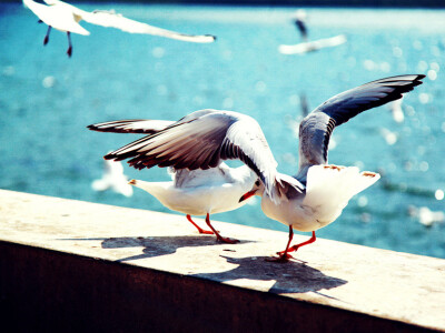 有些人，才遇见一下子，就好像认识了很久似的，什么事都想和他说。from 《你好，陌生人》