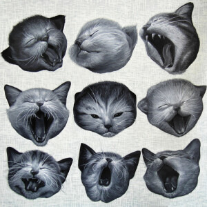 U-naWang [世界是我们的，也是喵星人的]