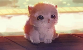 喵星人，无辜的大眼睛