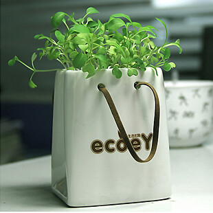 桌面创意收纳绿植 陶瓷纸袋植栽 生态e园