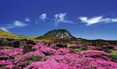  济州岛汉拿山景观图片。汉拿山是韩国三大名山之一，在济州岛任何地方都能看见。看的角度不同山势就不同，季节变化山色也变，是座神秘莫测的山。而且爬汉拿山，可同时领略温、热、凉、冷，人称这里一天有春夏秋冬四…