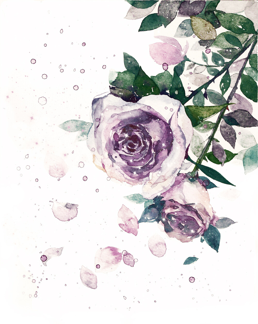 水粉画 蔷薇 玫瑰