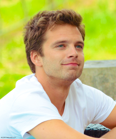 #Sebastian Stan#