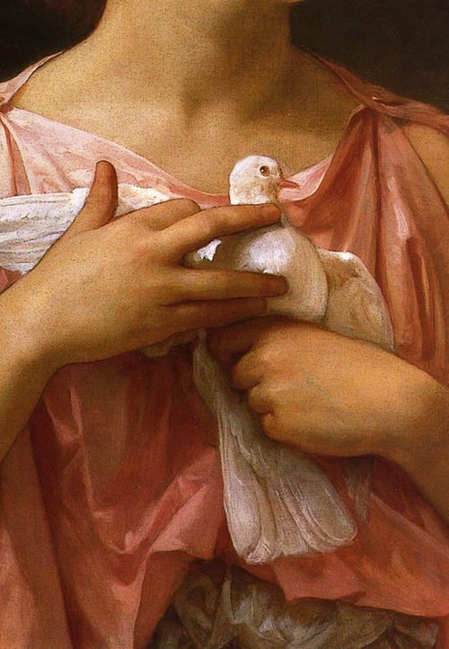 ➹Art Details➹The dove fanciers (detail) ~ Elizabeth Bouguereau