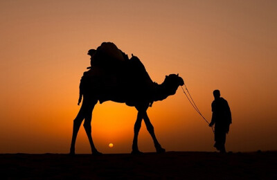 沙漠 日落 骆驼