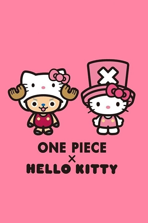 one piece &amp;amp;hello kitty