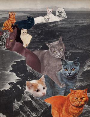 U-naWang [世界是我们的，也是喵星人的]