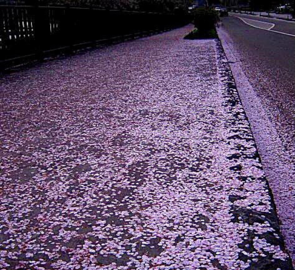 昨夜風吹紅顏醉.拂晓不見鏡中花.纵使魂飛無處去.一片丹心甚比霞.浮生無夢故人去.獨對鏡台梳妝懶.缱绻朦朧迷醉眼.難遮昨夜思君容。