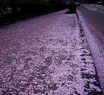 昨夜風(fēng)吹紅顏醉.拂曉不見鏡中花.縱使魂飛無處去.一片丹心甚比霞.浮生無夢故人去.獨對鏡臺梳妝懶.繾綣朦朧迷醉眼.難遮昨夜思君容。