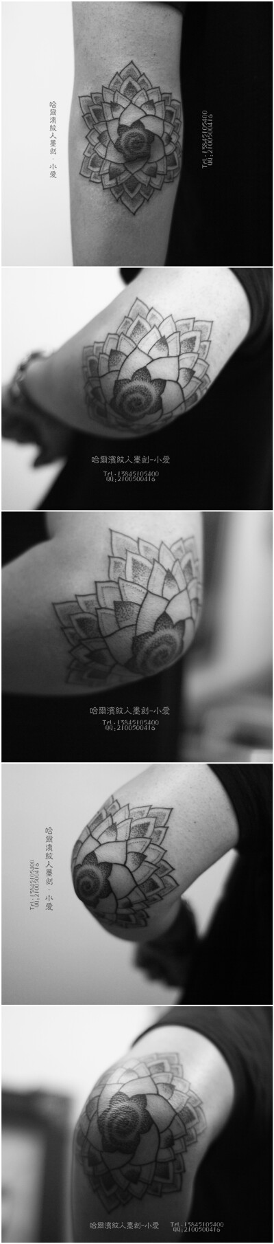 哈尔滨纹身，点刺纹身，点刺图腾，手肘纹身，哈尔滨纹人墨刻