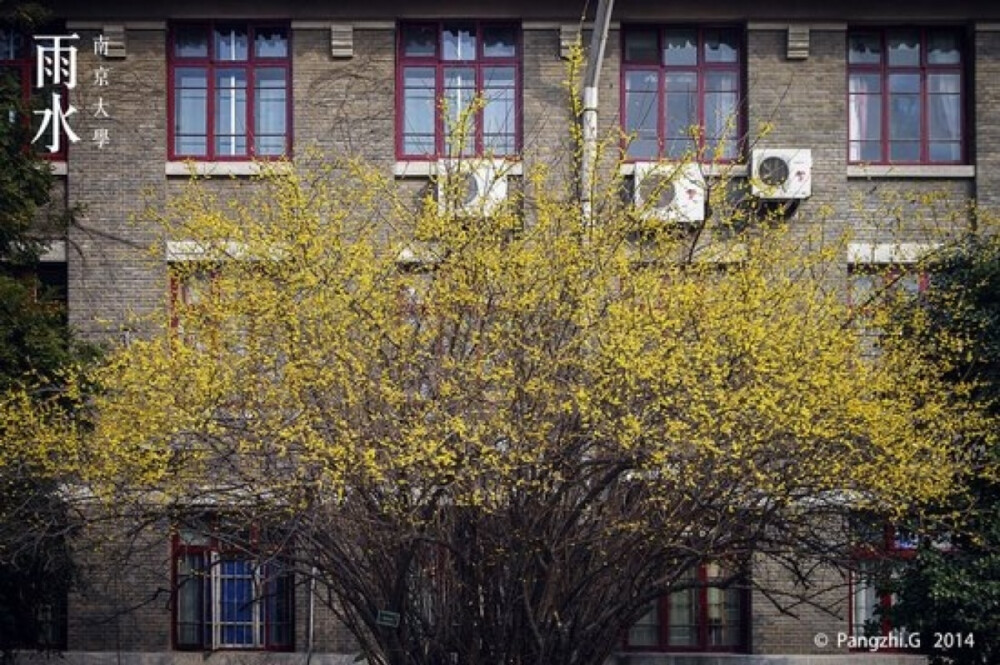 雨水 南京大学