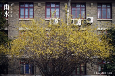 雨水 南京大学