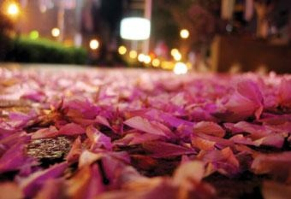  其实我们一直不孤独.只是没意识到陪伴者的存在.人活着是为了完成前世未了的故事.我知道自己满身缺点和瑕疵.却仍有人愿意爱我.包容我.使我更有勇气面对那些冷酷的时刻.这世界确实不同于我们的想象.我们因此学会了珍惜和感谢。