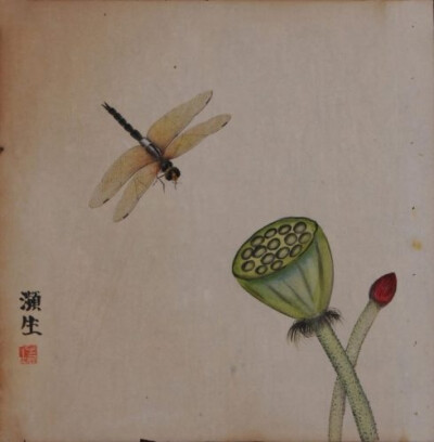  齐白石早期画的蜻蜓。
