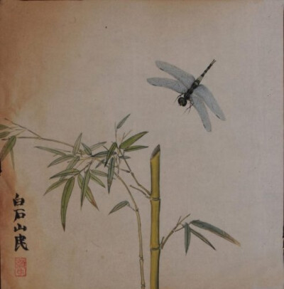  齐白石早期画的蜻蜓。