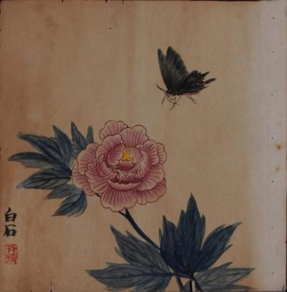  齐白石早期画的蝴蝶。