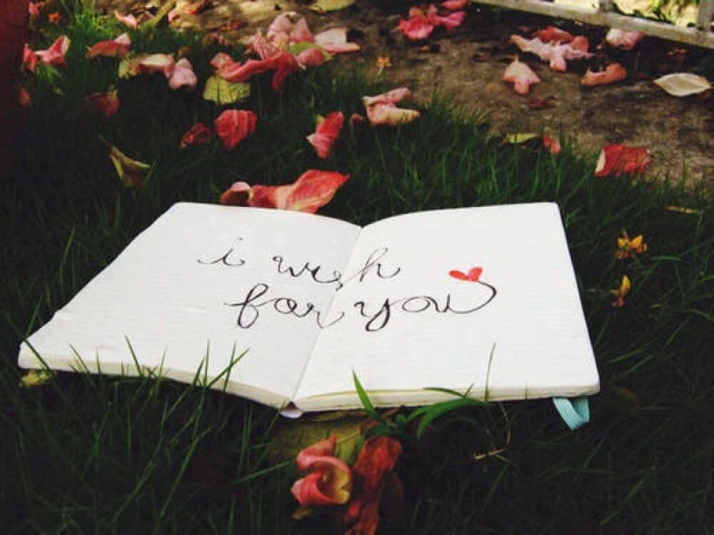 曾想过要变得很优秀很优秀然后出现在你面前气死你 让你后悔当初没有好好珍惜我 可真的开始变优秀就觉得那样的想法好幼稚 坚持的意义在于让自己变得更好 遇到更好的人 而更好的人 不是你