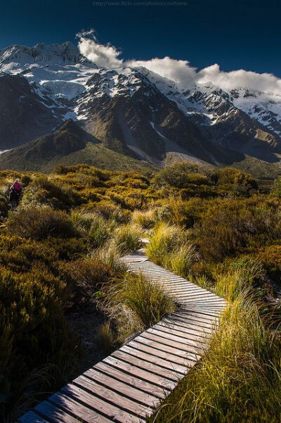 Hobbit trail, New Zealand