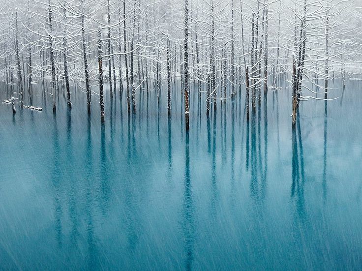 Blue Pond, Hokkaido。Japan Picture from National Geographic Photo of the Day。日本北海道上川郡美瑛町的青池。青池是1988年十胜岳火山爆发，因工程修筑堰堤而形成的湖泊，美瑛川中的矿物质和土砂质成份和阳光照耀，使得湖泊呈现出青绿色的色泽，白桦树的枯木更增添几许诗意。每当清晨到来，在阳光的照射下，青池的池水反射出如同经典Tiffany蓝的颜色，整个池面如画布一般，美得令人惊叹。