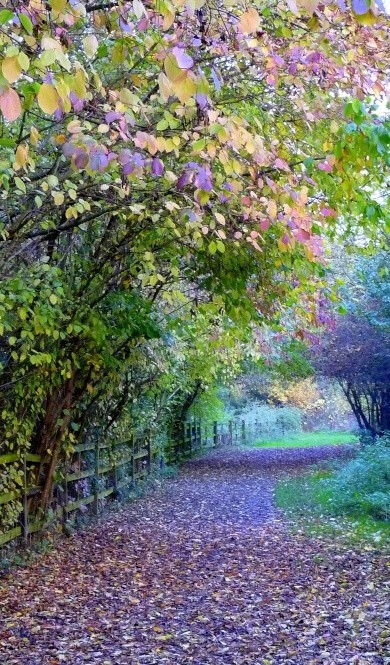 Watermead Country Park,Leicestershire, England