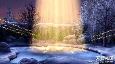 奇妙仙子里面的场景