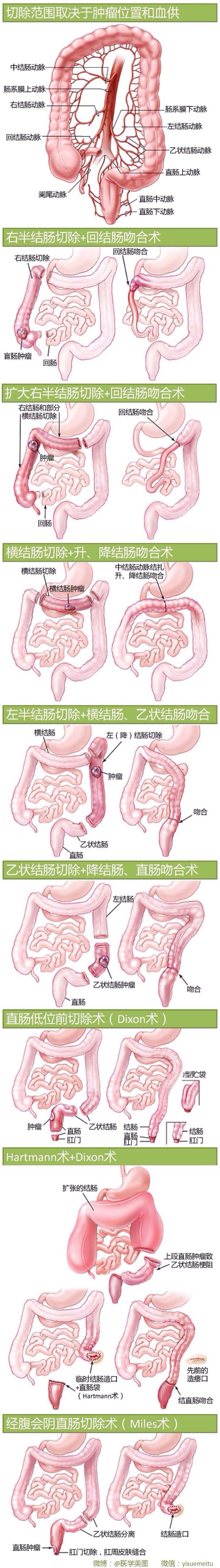 医学美图