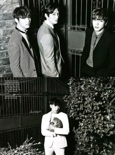 CNblue