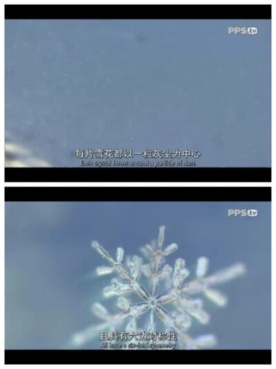 Frozen planet 1