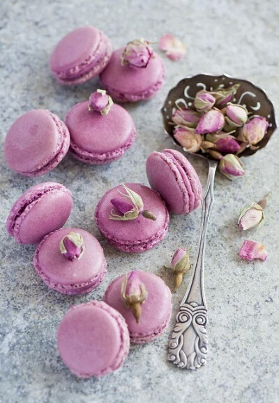 马卡龙macaron