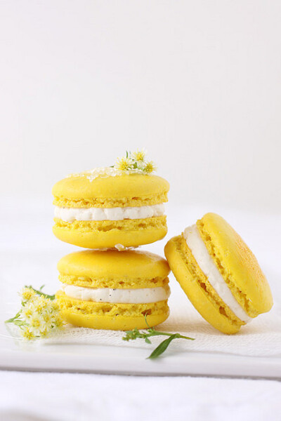 马卡龙macaron