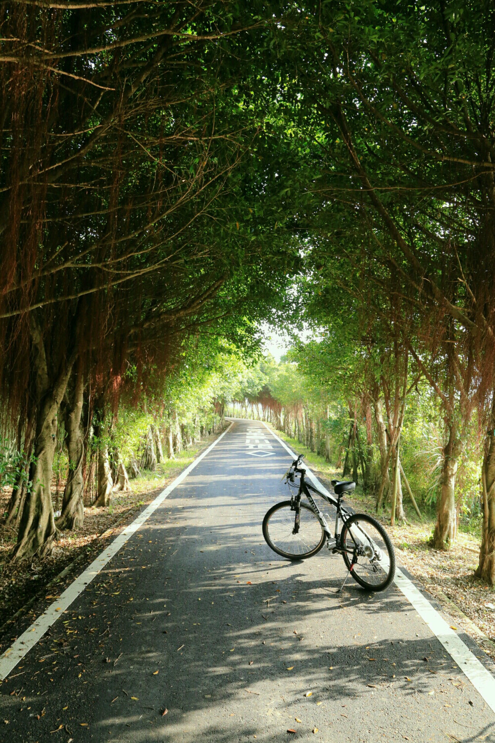 17km 海岸线