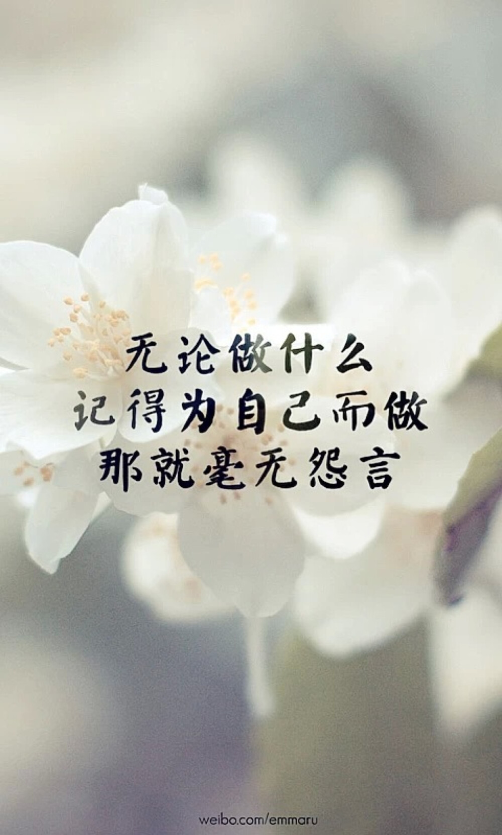 正能量 励志 文字壁纸