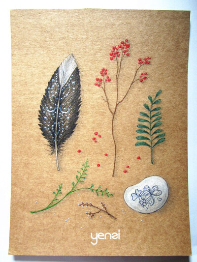 清新手绘植物羽毛插画，牛皮纸的质感就是特别。