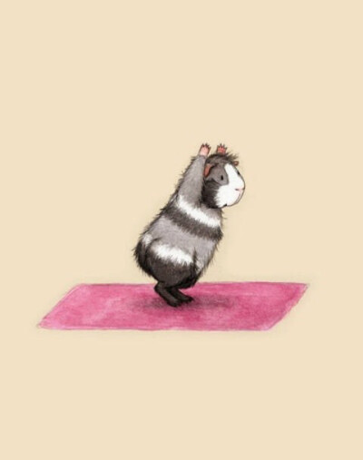 练瑜伽的豚鼠。by'Lesley DeSantis