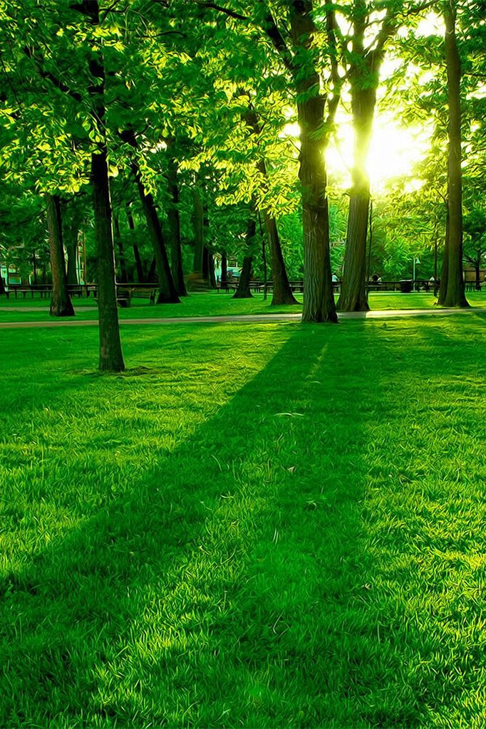 绿. - 堆糖,美图壁纸兴趣社区