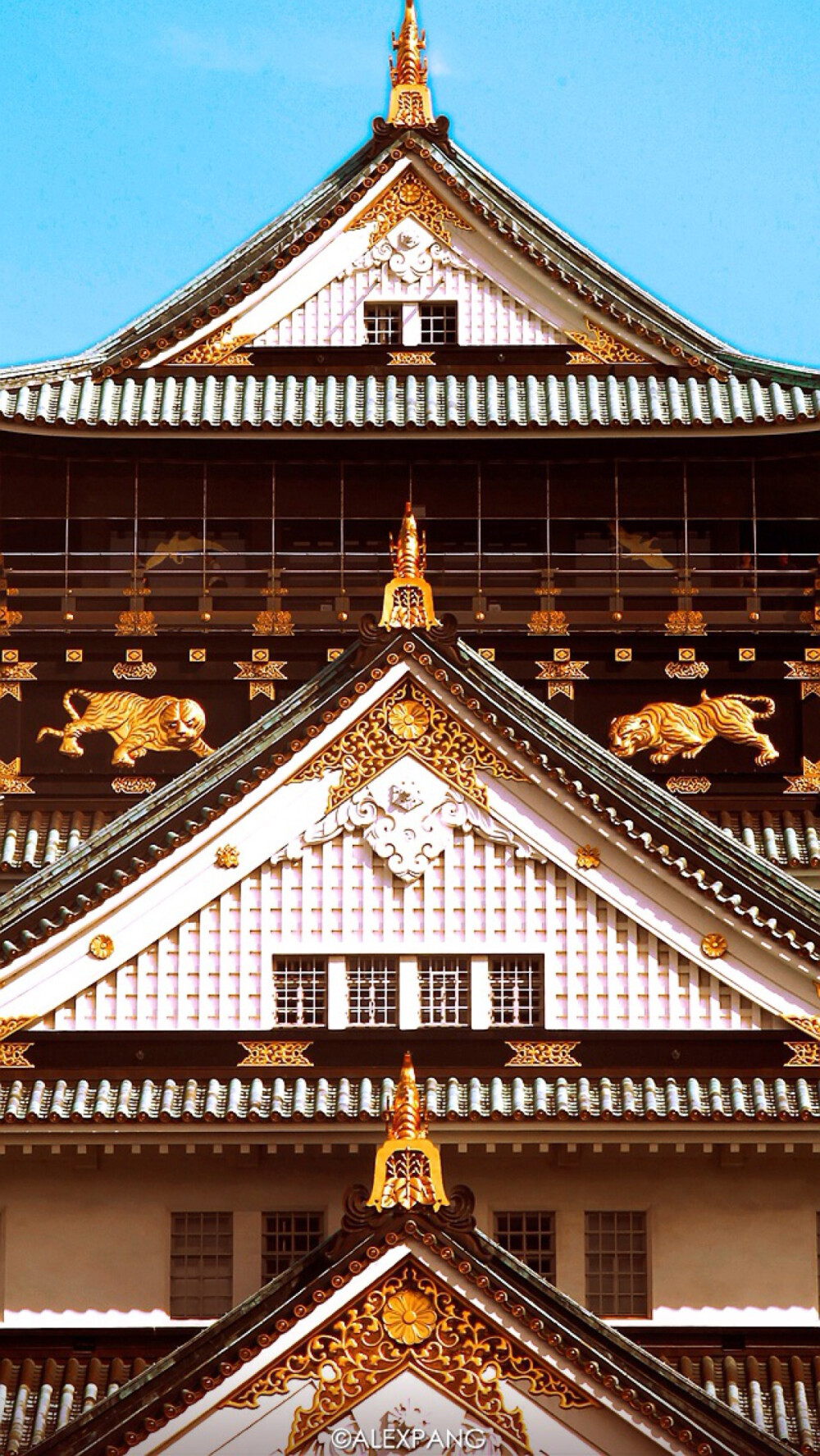 拾光app 壁纸 iphone 清新 素材 欧美 句子 插画 摄影作品 日本 建筑