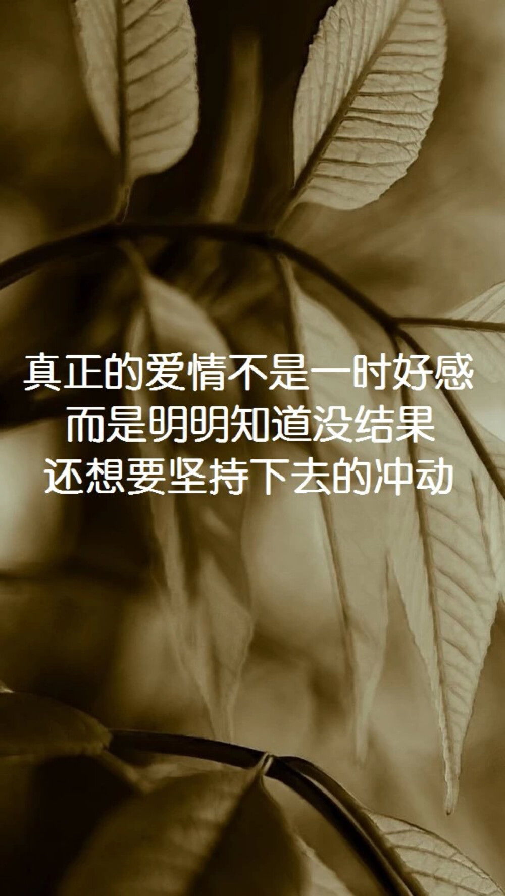 每个人也许都爱上过不爱他的人.永远忘不了那时掉过的眼泪和受过的委屈.许多年后.回头再看.他又有哪一点配得上我？人生长途比赛中.我比他当时喜欢的任何一个人都优秀许多.只是他不懂我的好.多傻啊！那时为什么没有告诉他.你总有爱我的一天.但是.到了那天.我早已经不爱你了---张小娴