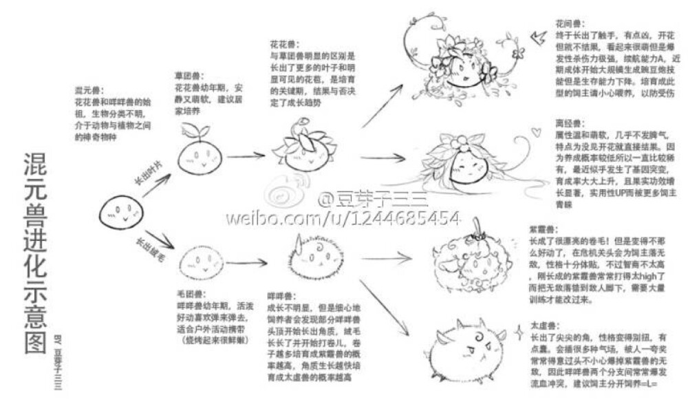 花哥进化史